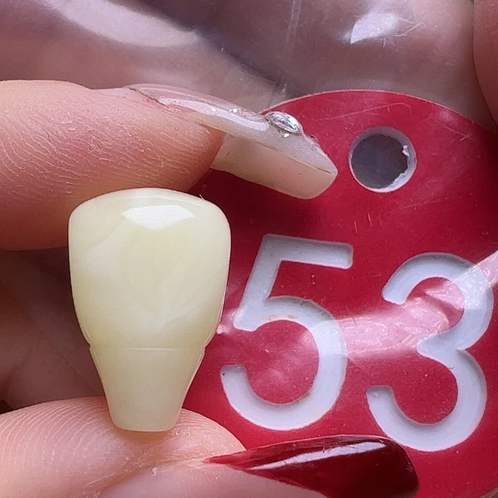 蜜蜡未镶嵌珠宝奇石10.7mm白蜡三通