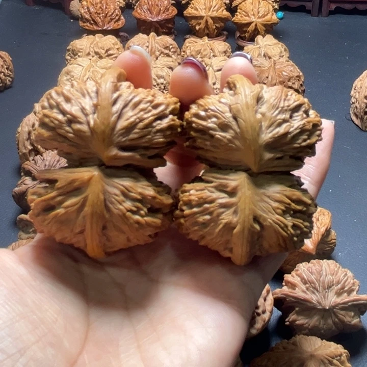 白狮子连体核桃哈哈哈哈哈哈哈