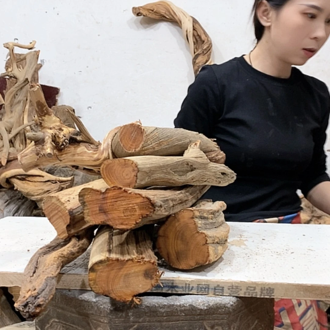 【闪购商品】柏木盛****生我们都是好孩子