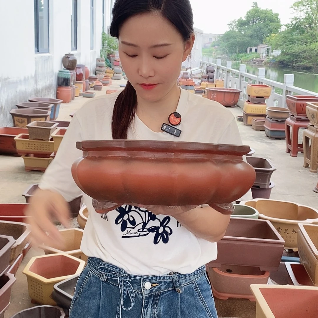 紫砂花盆紫砂花盆