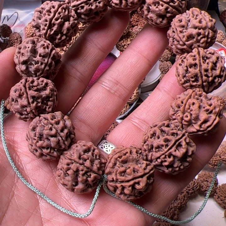 金刚菩提手串23➕粗筋双龙