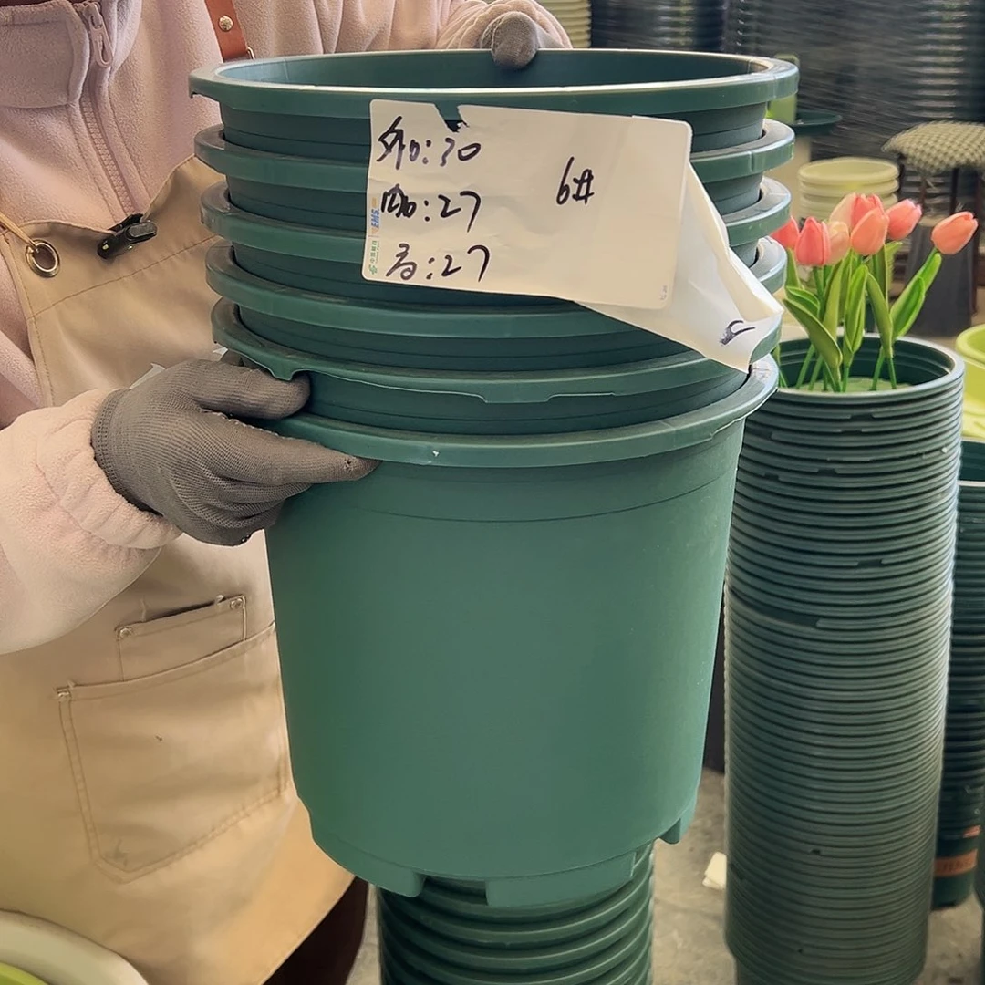 瑕疵6加仑墨绿色6个无托