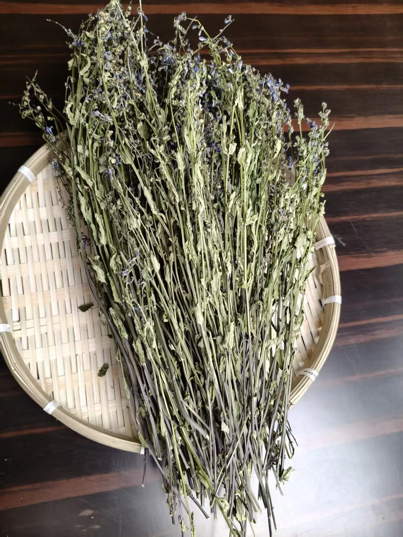 深山半枝莲全草整株整棵半枝莲泡茶泡水半枝莲