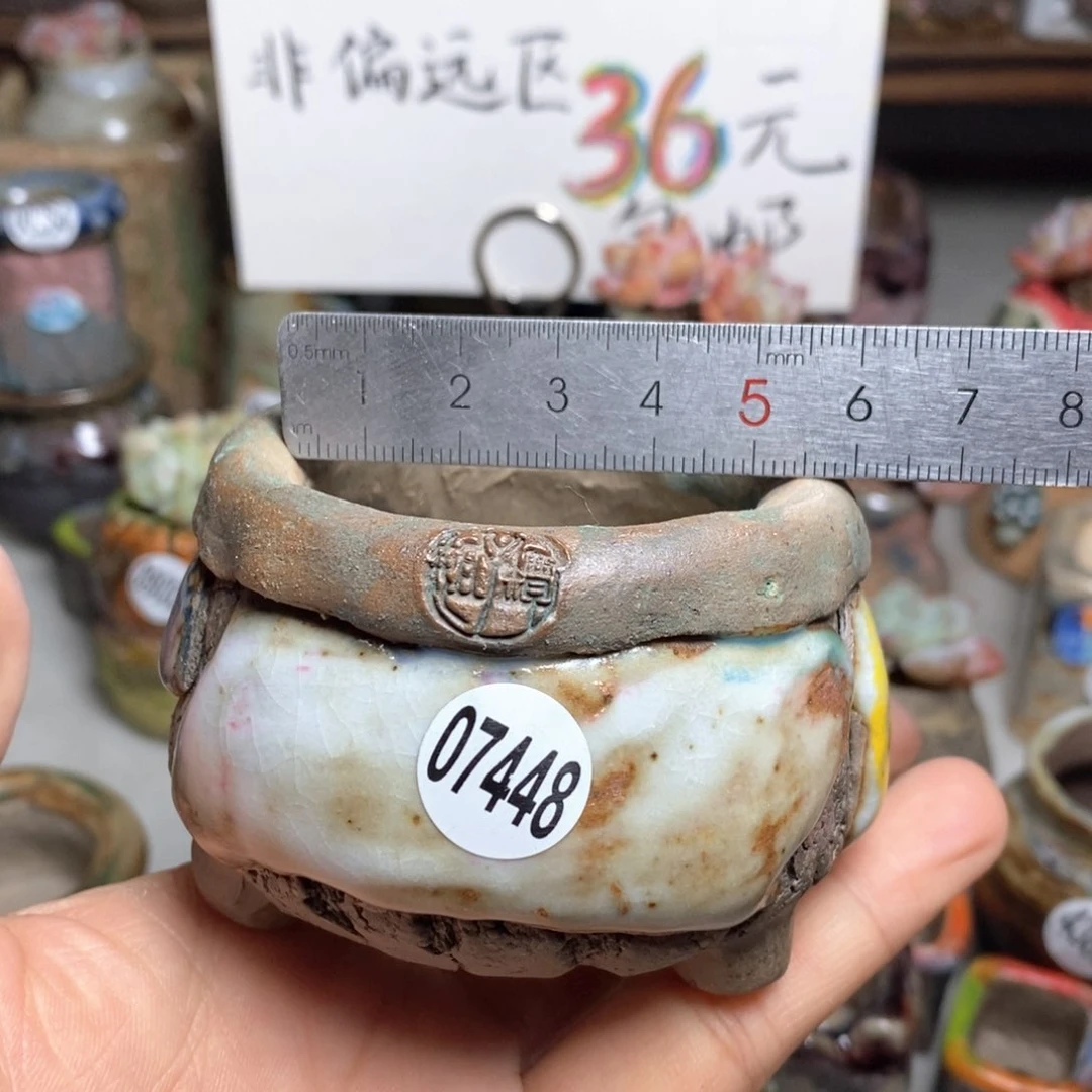 花盆拍3送一个小礼物