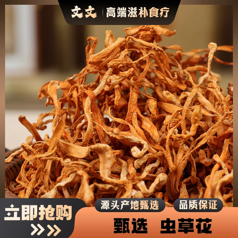 东北花蛹干货菌菇孢子头火锅炖汤食材