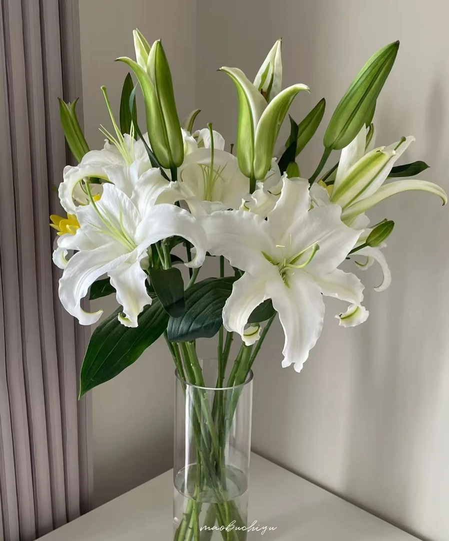 （西伯利亚）多头单瓣水百合切花，云南昆明基地直发
