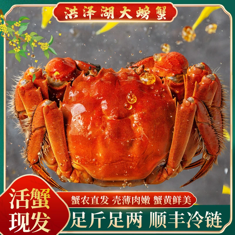 【活蟹现发】全母江苏精品湖水螃蟹 河蟹1.8-1.5两8只送2只顺丰包邮