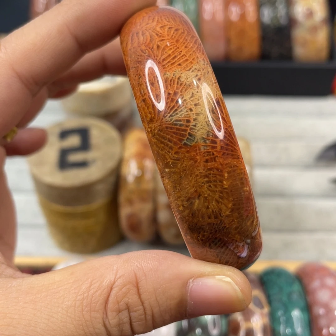 未镶嵌手镯硅化玉