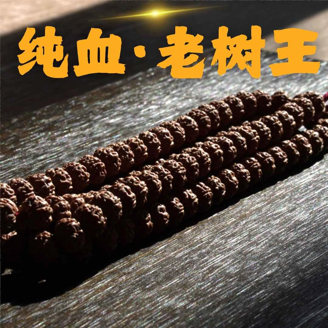 【头货老树王】原生态纯血老树王小金刚双龙纹矮桩粗犷饱满