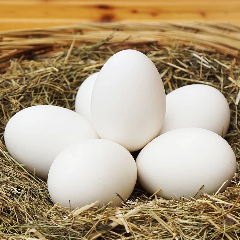 【120g-140g】新鲜土鹅蛋农村生态散养正宗鹅蛋孕妇孩子中年吃