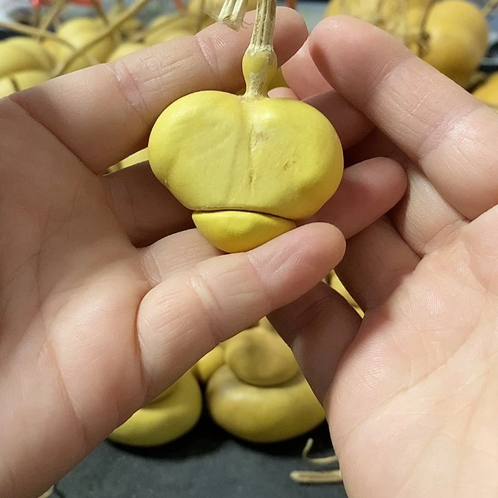 葫芦的颜色很好看