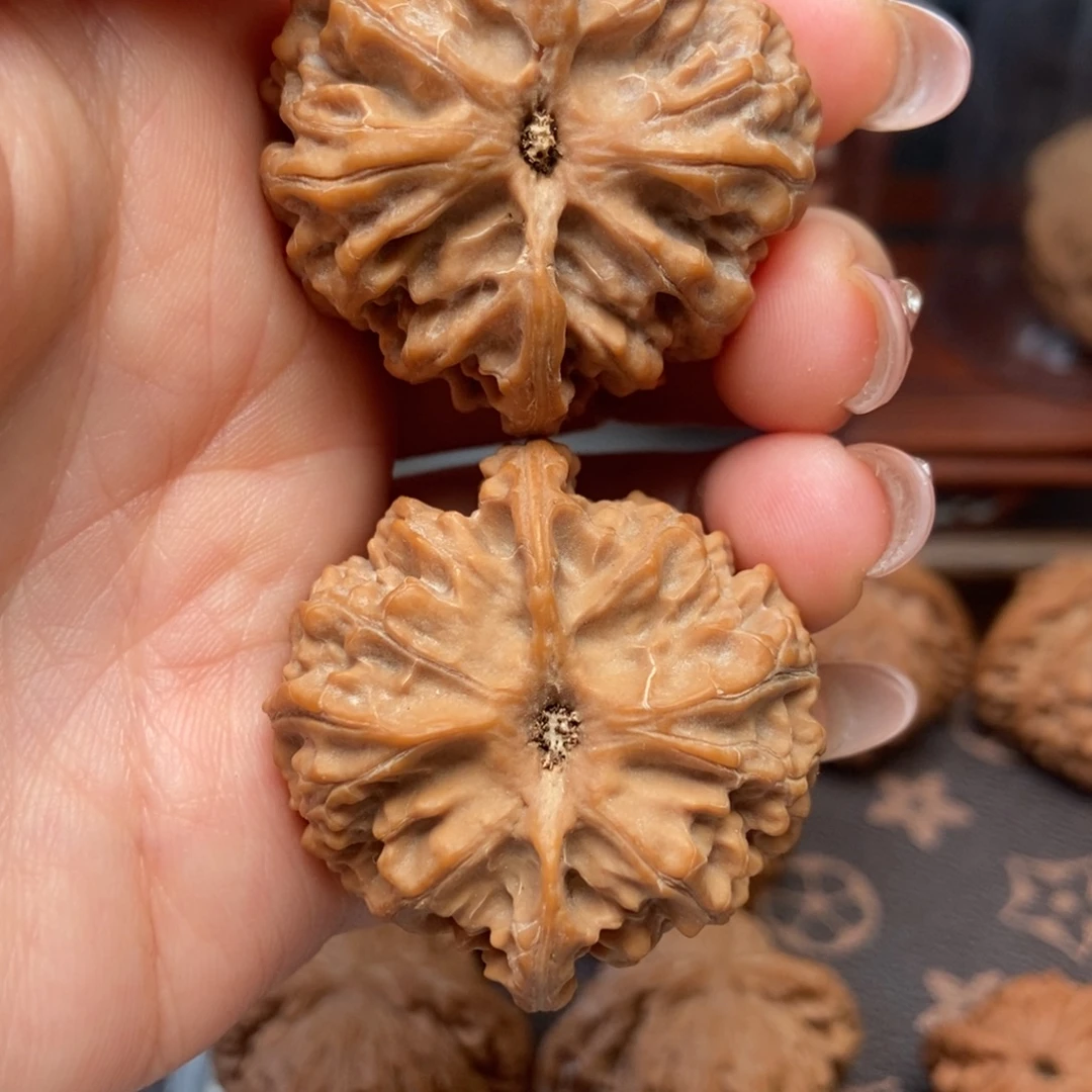 大叶紫檀（黑酸枝木类）苹果园