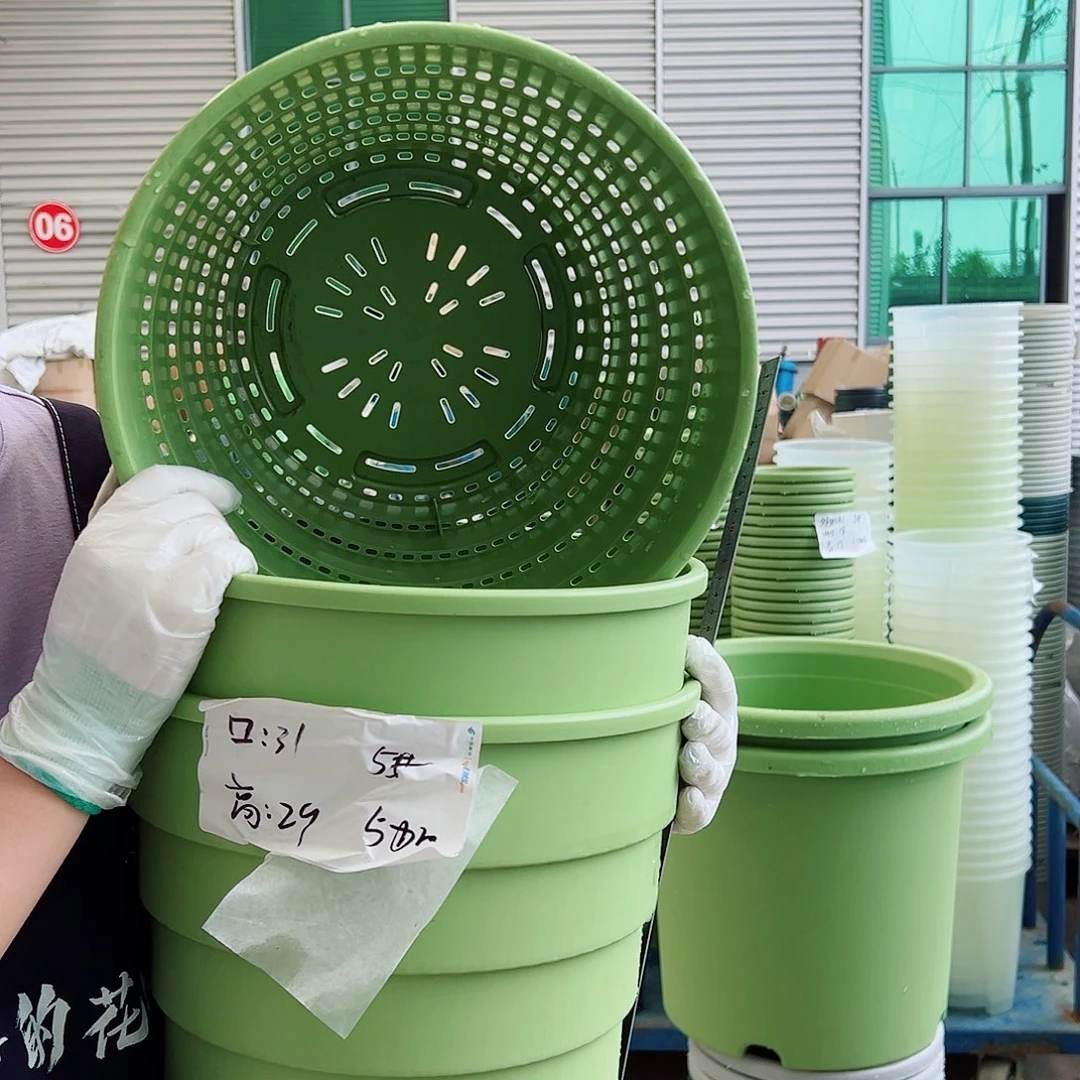 多孔盆5#果绿3个无托