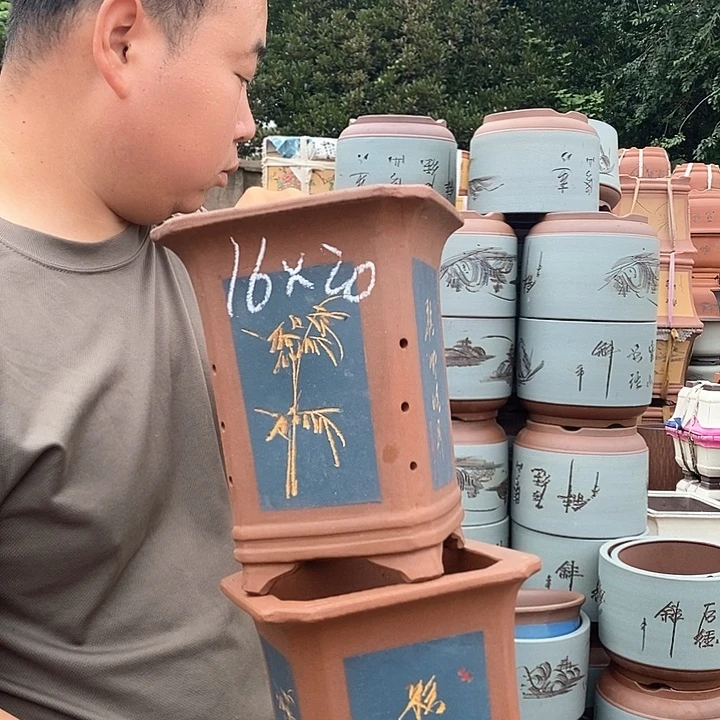 紫砂花盆盆栽植物提取