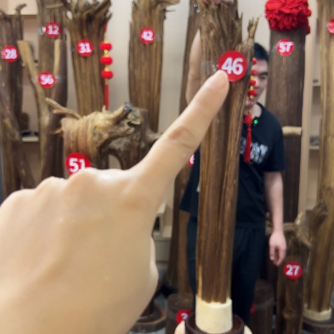 海***洋沉香沉香碎屑沉香