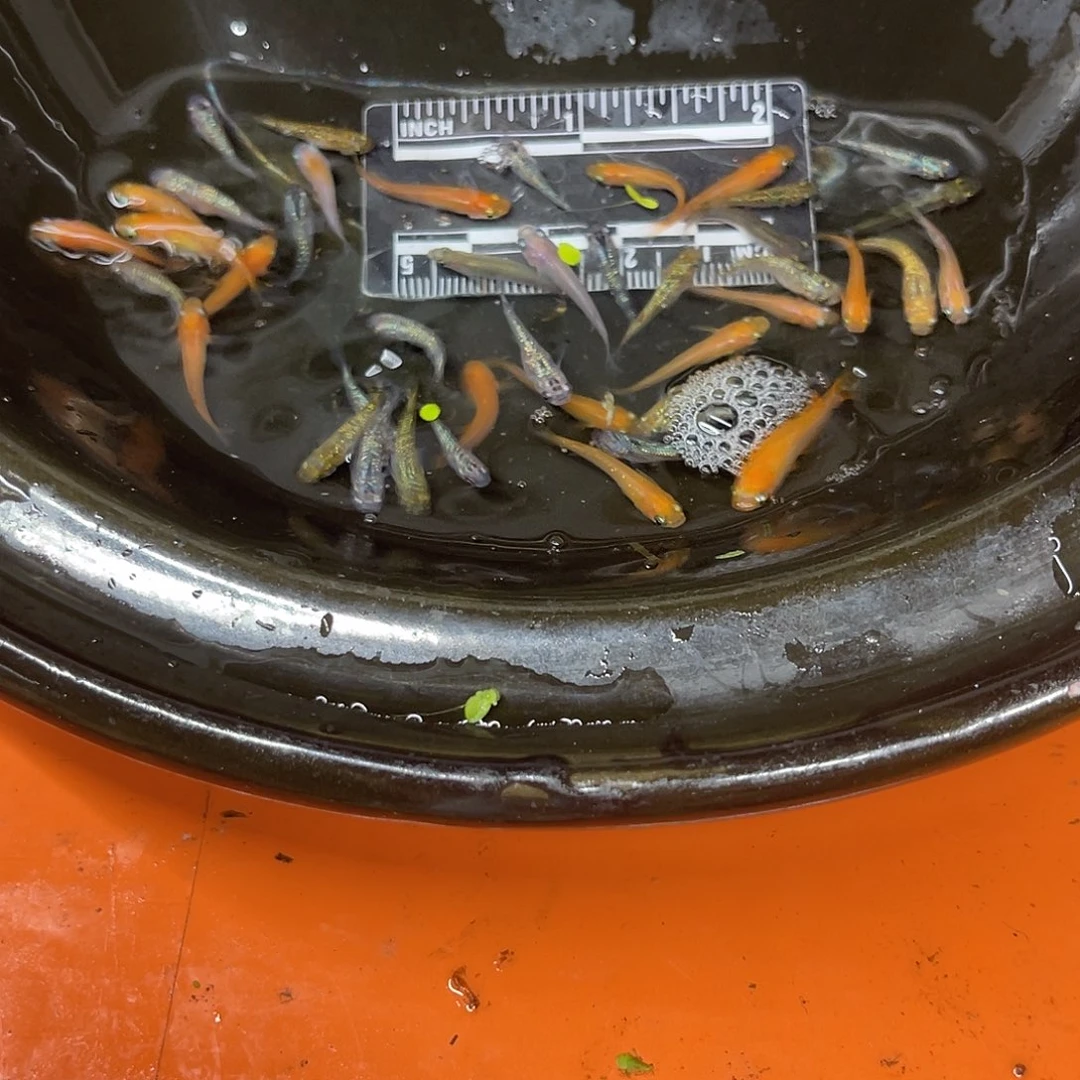 海水62号哈哈哈哈哈哈