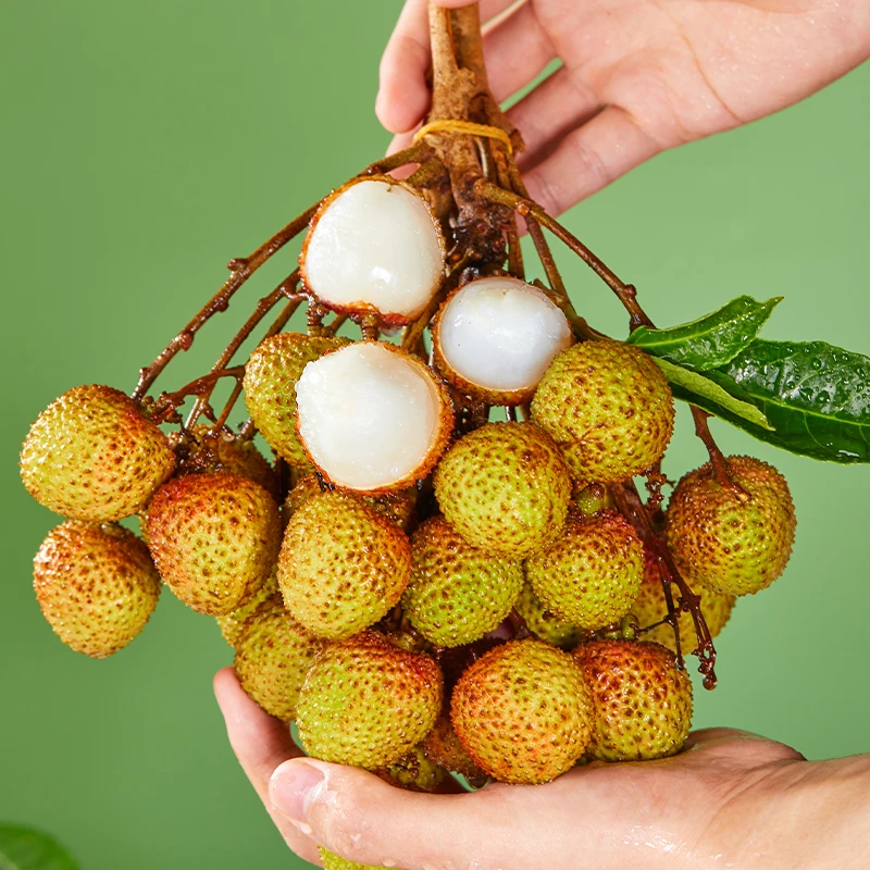 【顺丰】情之甄头茬正宗海南妃子笑荔枝当季新鲜水果肉厚多仓发货