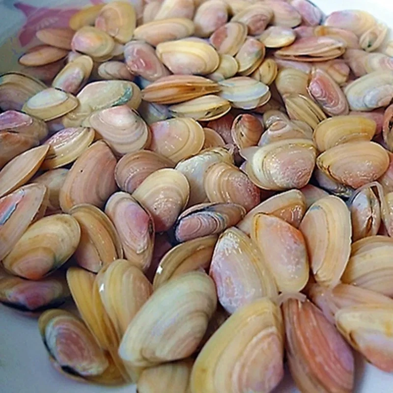 舟山海鲜 新鲜无沙薄壳海瓜子  顺丰直发