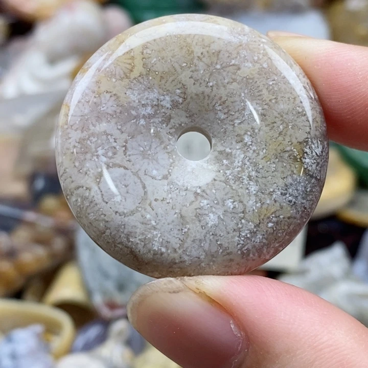 硅化珊瑚（珊瑚玉）未镶嵌颈饰