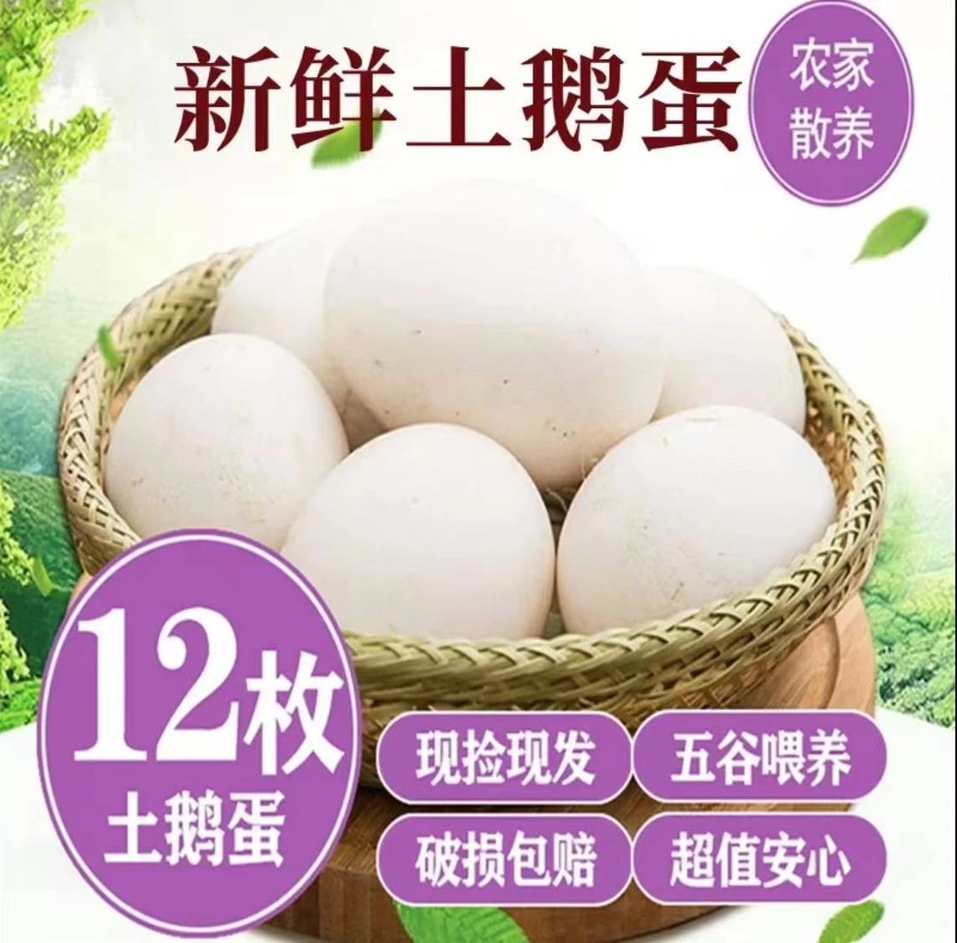 【农场直发】一箱12枚农家散养鹅蛋养生鹅蛋 现捡现发 健康营养