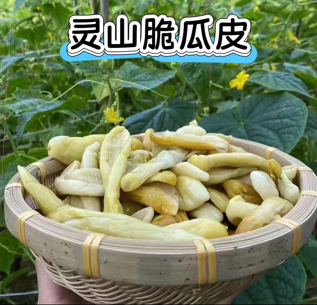 广西灵山脆瓜皮（下饭菜）