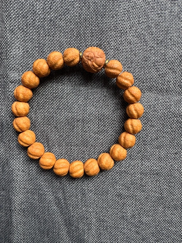 太晨出品11m灵蛇全品