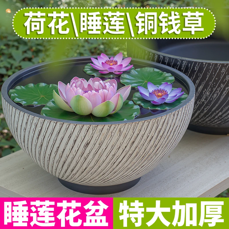 加厚塑料碗莲盆睡莲铜钱草专用花盆水培特大号大口径荷花花盆缸