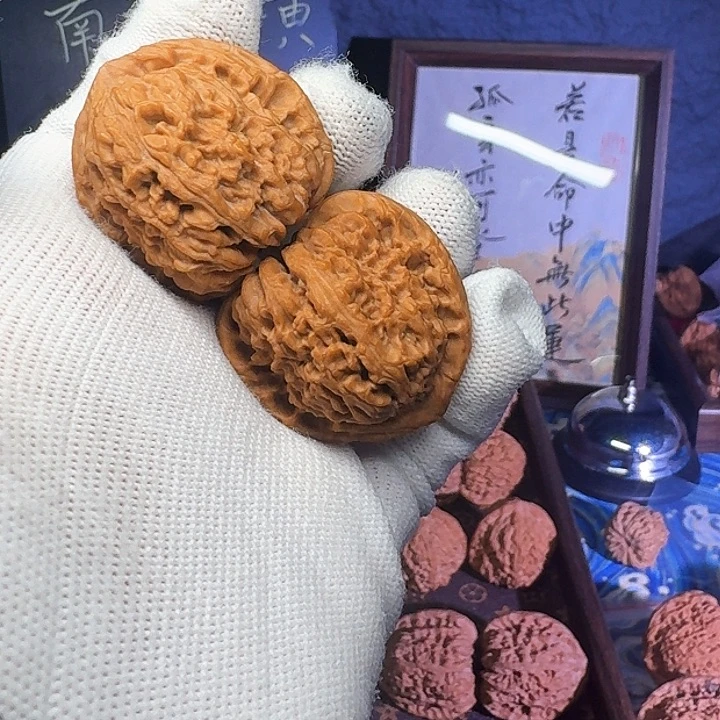 大叶紫檀（黑酸枝木类）