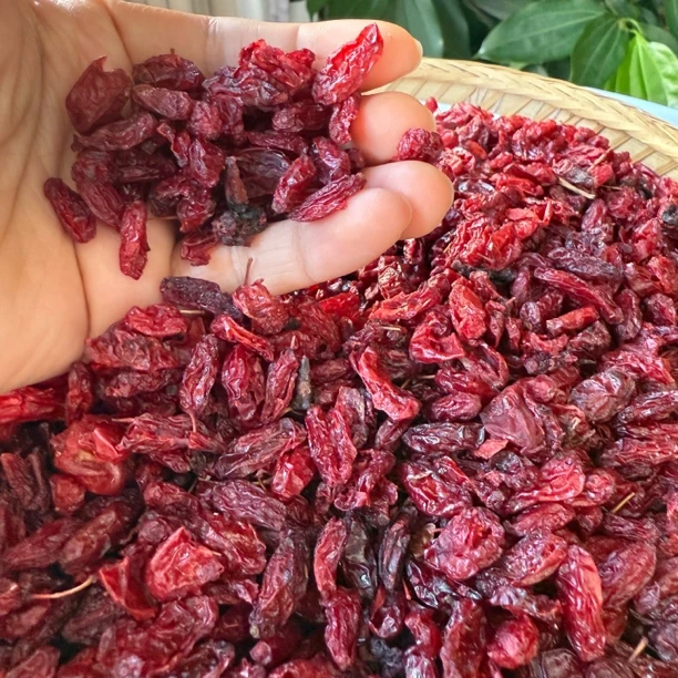 新货《野生山茱萸 》可泡水煲汤泡酒搭配枸杞