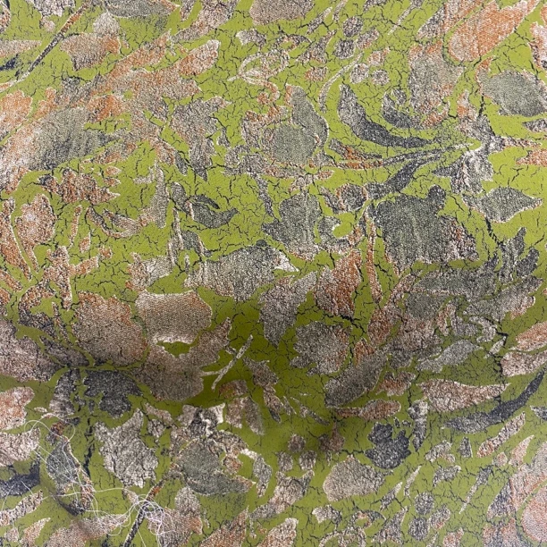 彩色雕印棉绸.秋香绿.春夏连衣裙旗袍面料