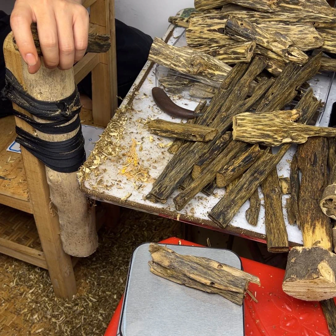 线香奇楠虫漏香25克