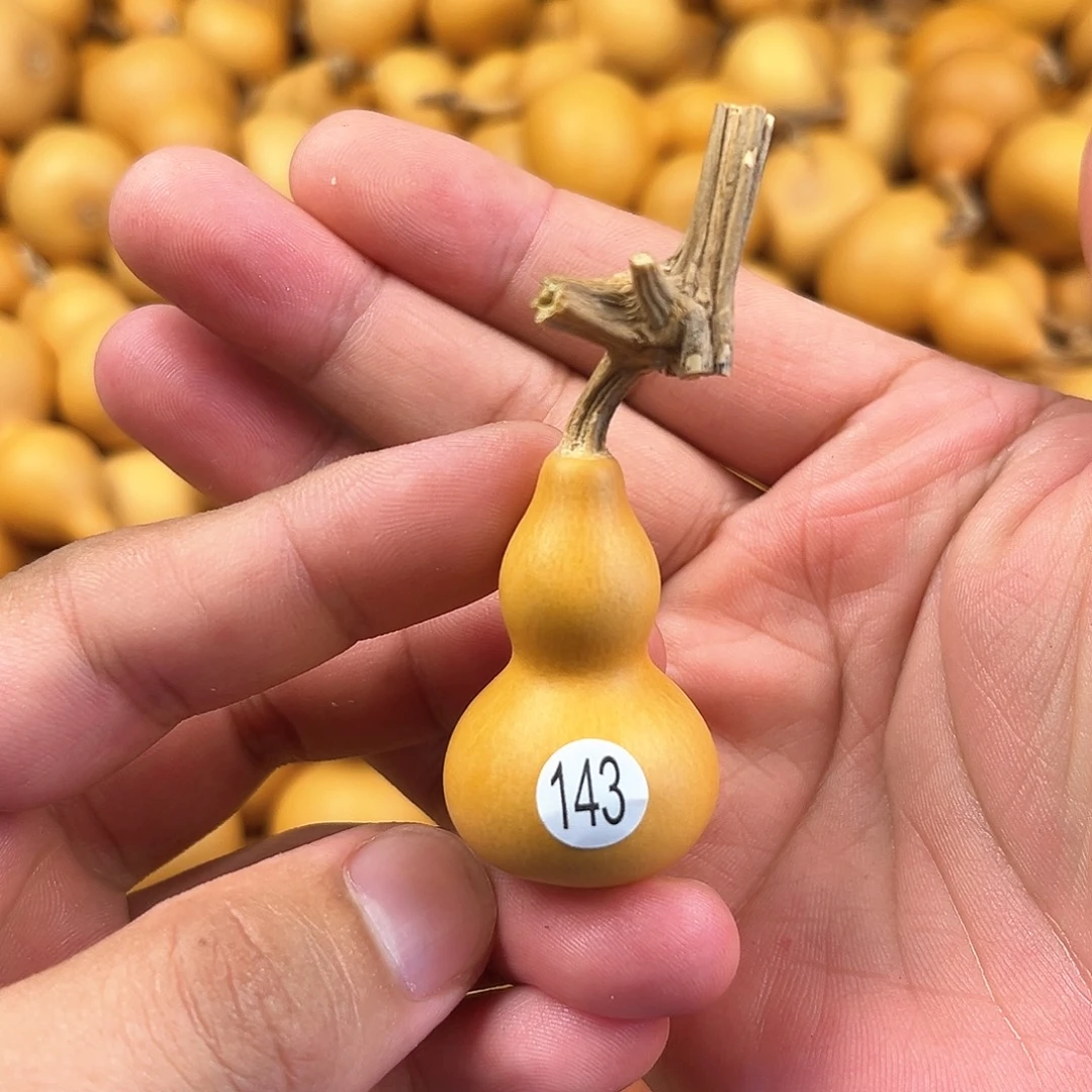 三葫芦葫芦葫芦葫芦 143