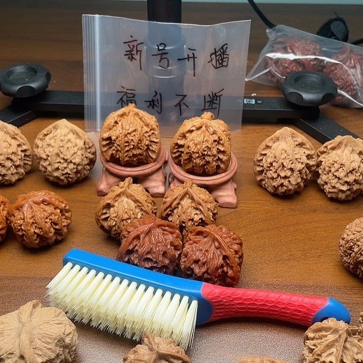 刷子哈哈哈哈哈哈哈