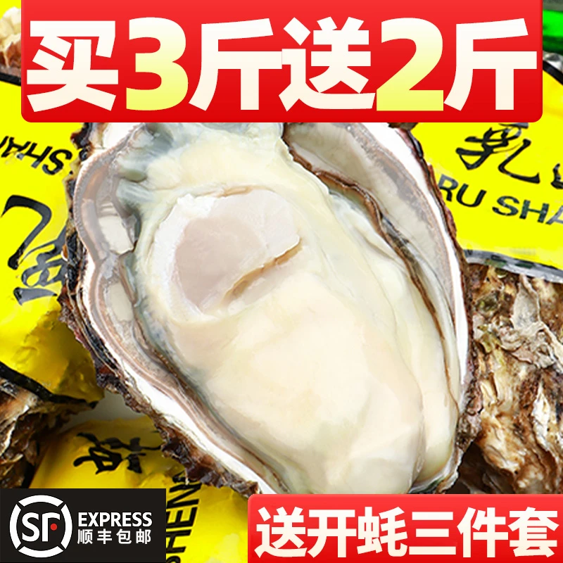 【买3斤送2斤 实发5斤】乳山生蚝鲜活大号肉肥鲜美牡蛎海蛎海鲜zb