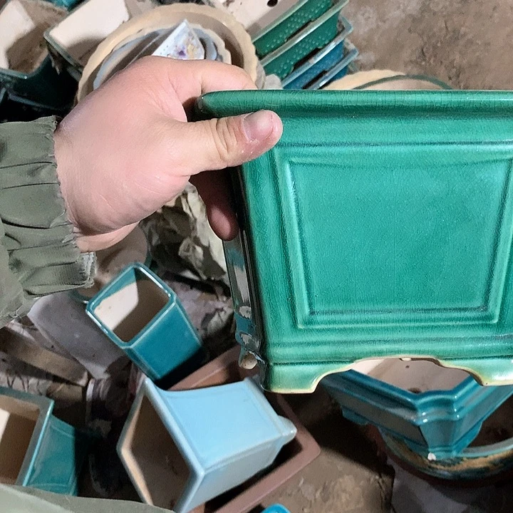 紫砂哈哈真的超级可爱哈哈哈哈哈