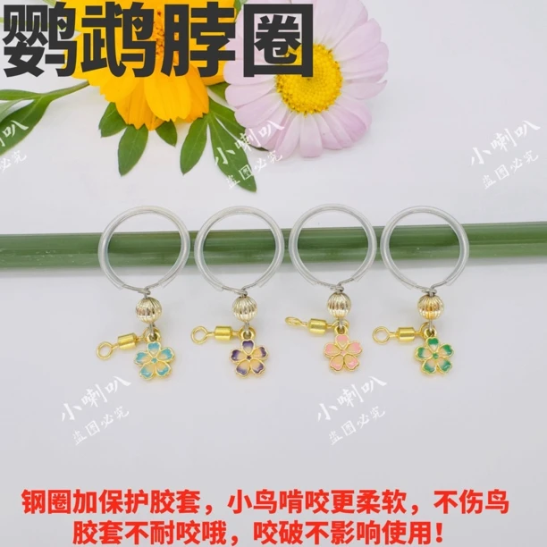 鹦鹉脖套牡丹玄凤栓鸟脖链金太阳和尚户外遛鸟项圈小鹦鹉脚链脚环