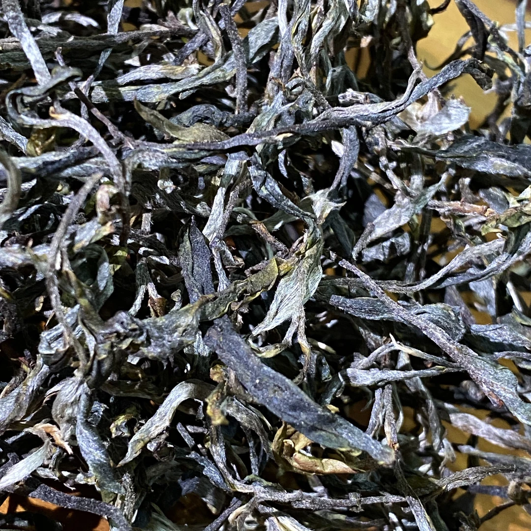 【齐天小圣】易武茶区 国有林山顶秘境稀缺资源 乔木头春