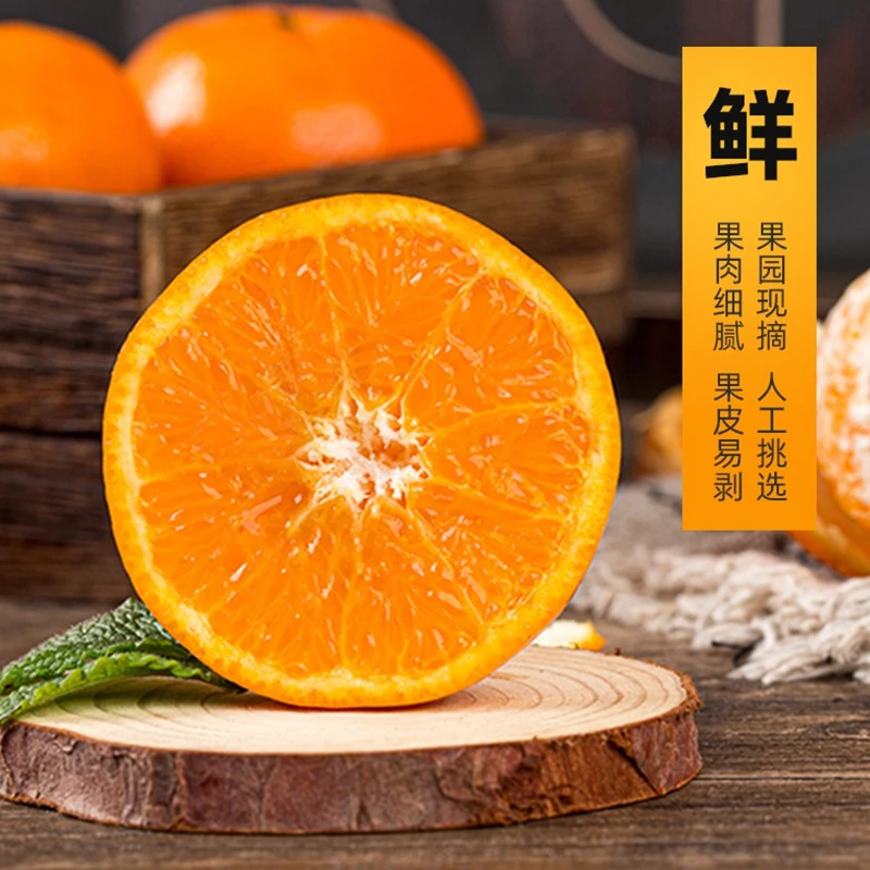 【山里红】武鸣【商业091无籽沃柑】现摘现发 坏果包赔