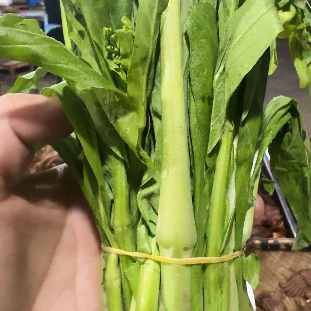 s***j白菜中国大陆青菜