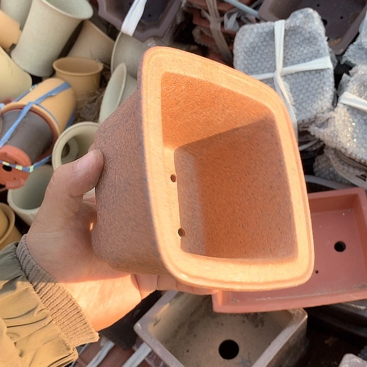 紫砂优秀青年科技创新科技大学