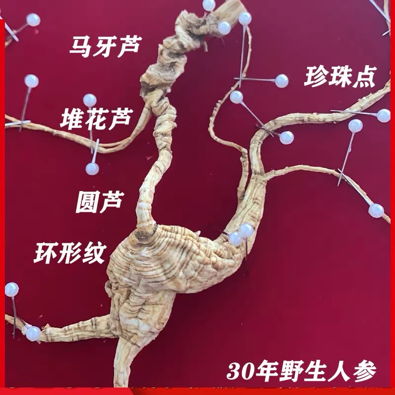 长白山人参东北林下参生晒参老干参泡酒礼盒参国检一等参
