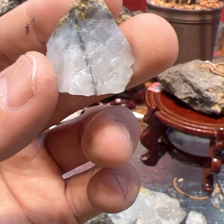 聚金阁的自然金标本