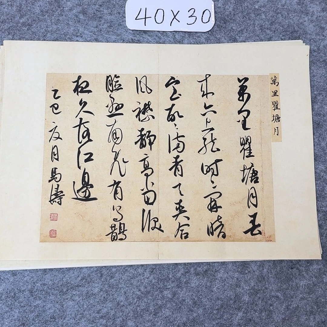 书法中书马涛40×30