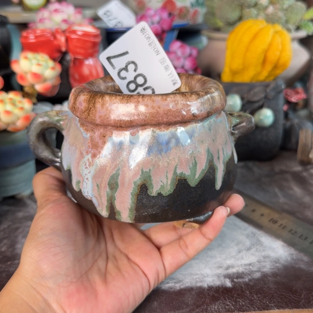 露***吟重庆小燕子欢迎大家837