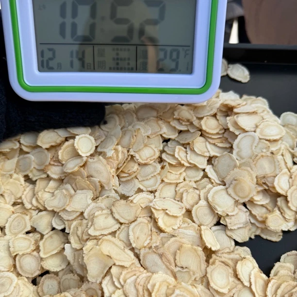 长白山林下西洋参.2