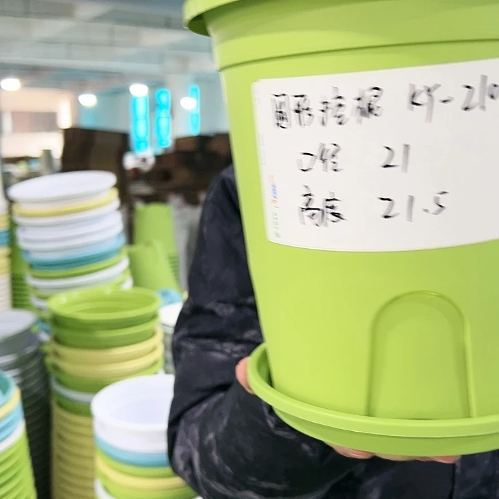 正品圆控口21高21果绿带托8只