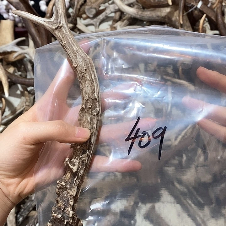 鹿角lu j lu j lu j lu j