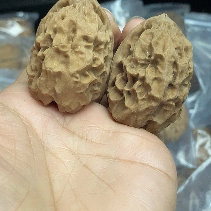 木质类云南铁核桃基地76