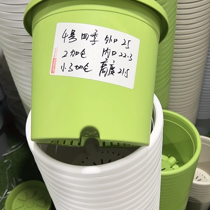 特价4号四季口25高21.5果绿无托8只