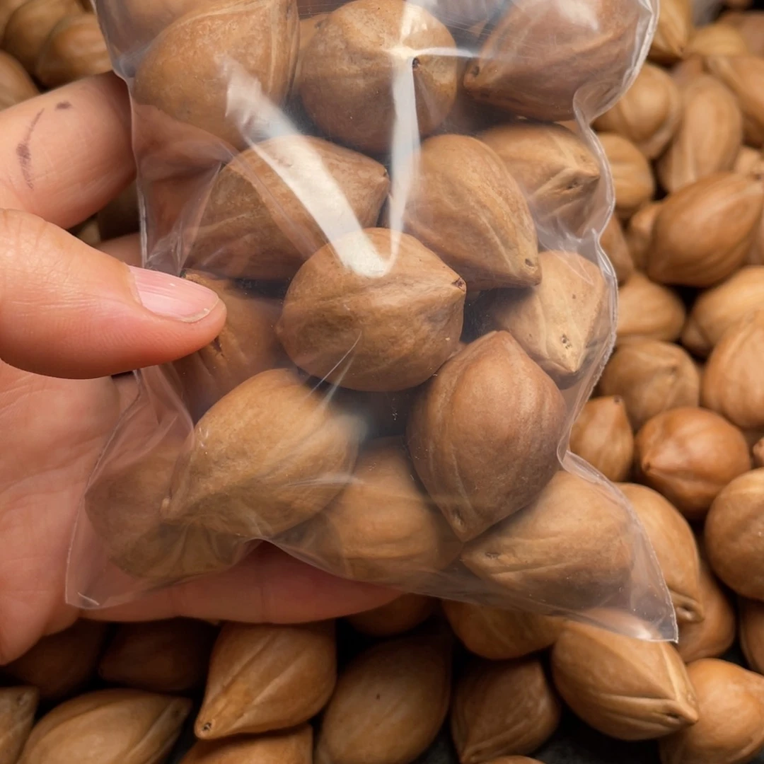 大**铁q q q q q q q q